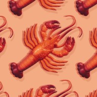 Moltbot: The Viral AI Assistant Transforming Digital Life