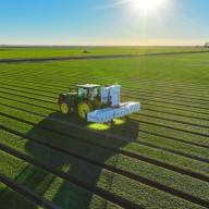 Carbon Robotics Unveils Large Plant Model: Revolutionary AI for Real-Time Weed Recognition in Autonomous Agriculture