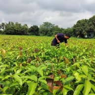 Indian Climate Tech Startup Varaha Secures $20M Series B to Scale Carbon Removal Infrastructure Across Global South