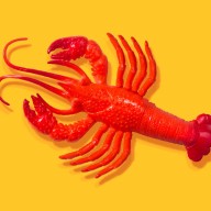 Security Researchers Question OpenClaw's Viability Amid Critical Vulnerabilities