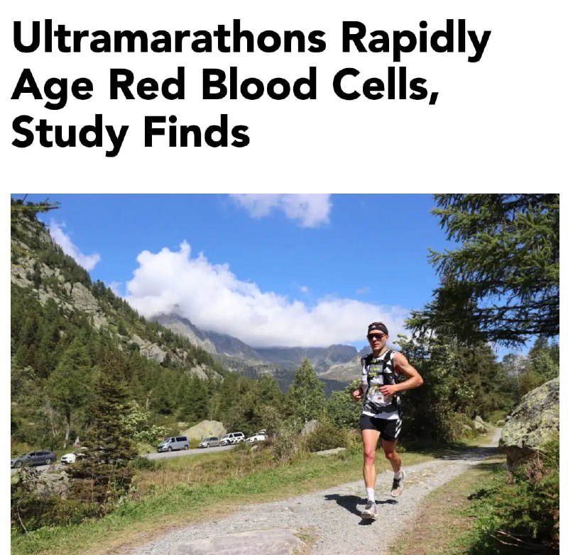 Research Reveals Ultra-Marathon Running Accelerates Cellular Aging Through Irreversible Red Blood Cell Damage