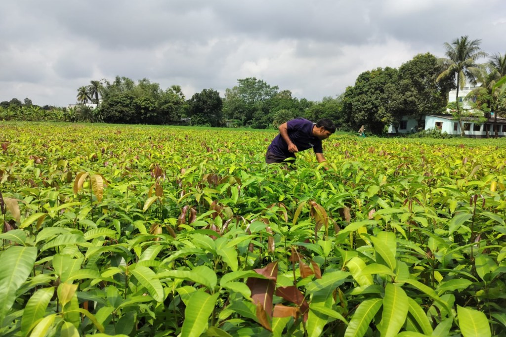 Indian Climate Tech Startup Varaha Secures $20M Series B to Scale Carbon Removal Infrastructure Across Global South