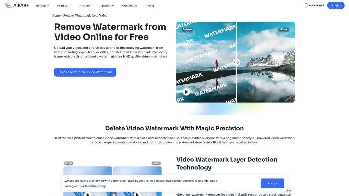 AIEase Video Watermark Remover