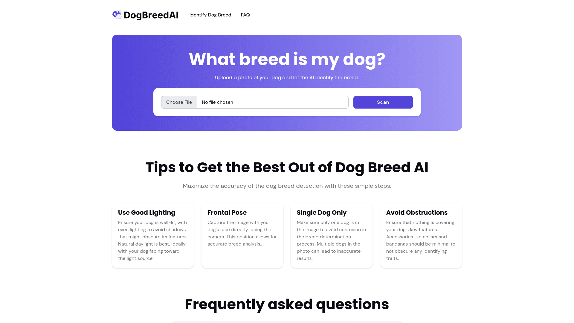 Dog Breeds