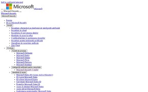 Microsoft Security Copilot